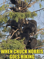 1652317519354.png