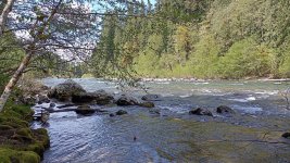 IMG_20220511_141208.jpg