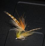 DSC02886.jpg
