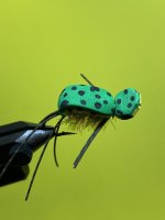 DE622720-A094-4553-A39B-D5B3466F9EEC.jpeg