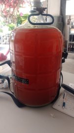 IMG_20220513_114031321.jpg