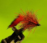 20220513_153103.jpg