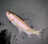 B0BC29B0-6352-4F1C-B4E5-AE1E07BA2A28.jpeg