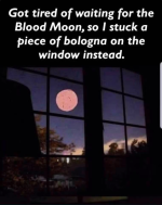 1652534691987.png