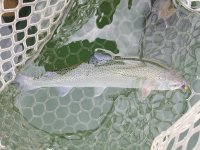 20220514_133739.jpg