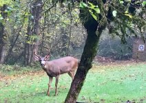 IMG_2433.jpeg