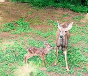 IMG_3565.jpeg