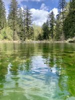 IMG_4175.jpeg