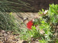 IMG_1988.JPG