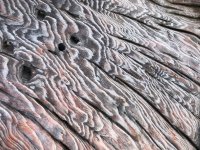 IMG_6433.jpeg