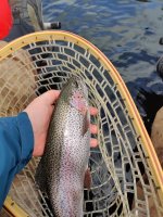 IMG_20220516_141953.jpg