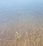 20220517_shore.jpg 20220517_shore.jpg