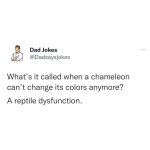 FB_IMG_1652986066998.jpg