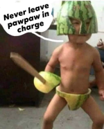 1653049153585.png