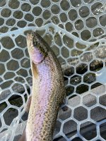 IMG_2055.JPG
