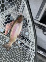 IMG_2052.JPG