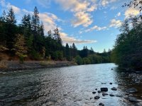 IMG_6884.jpg