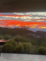 IMG_9185.jpeg