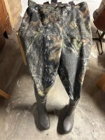 IMG_2475.jpeg