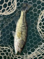 IMG_2327.jpeg