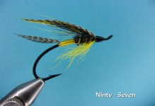 Ninty - Seven.jpg Ninty - Seven.jpg