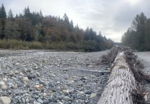 IMG_0536.jpeg