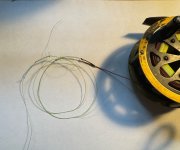 IMG_4287.jpeg