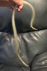 IMG_4305.jpeg