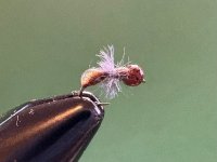 IMG_6168.jpeg