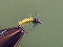 IMG_6167.jpeg