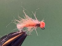 IMG_6166.jpeg