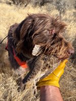 IMG_1647.jpeg