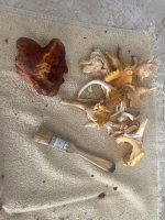 IMG_0539.jpeg