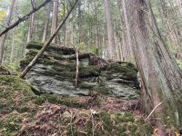 IMG_0537.jpeg