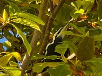 IMG_8898.jpeg