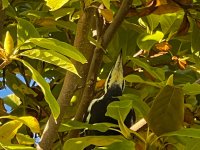 IMG_8899.jpeg