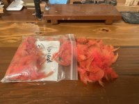 IMG_0544.jpeg
