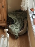 IMG_0545.jpeg