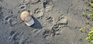IMG_0550.jpeg