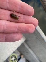IMG_6115.jpeg
