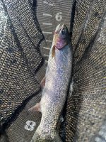 IMG_0884.jpeg