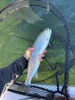 IMG_5668.jpeg