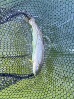 IMG_5672.jpeg