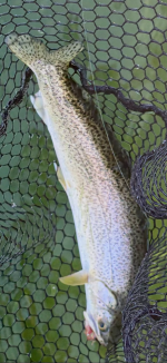 IMG_4215.png IMG_4215.png