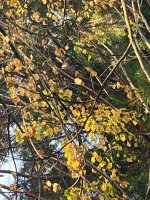 IMG_7872.jpeg