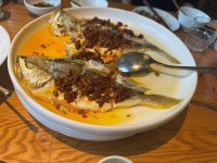 IMG_1975.jpeg