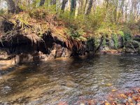 IMG_8652.jpeg