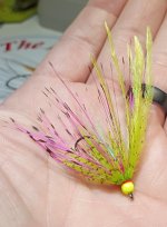 IMG_20261019_131839378.jpg
