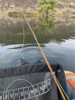 IMG_8395.jpeg