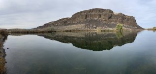 IMG_8398.jpeg